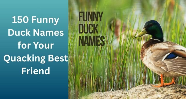 150-Funny-Duck-Names-for-Your-Quacking-Best-Friends