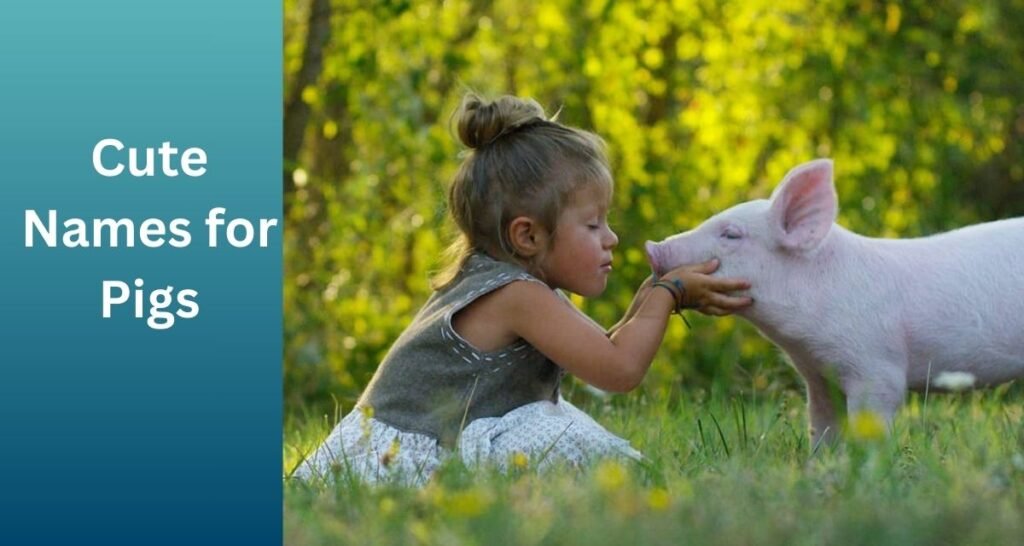 Cute Names for Pigs