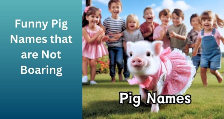 Funny-Pig-Names-that-are-Not-Boaring