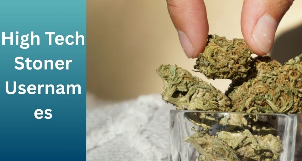 High Tech Stoner Usernames