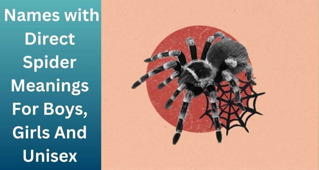 Spider Meanings For Boys, Girls And Unisex