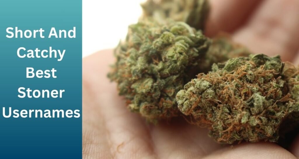 Best Stoner Usernames